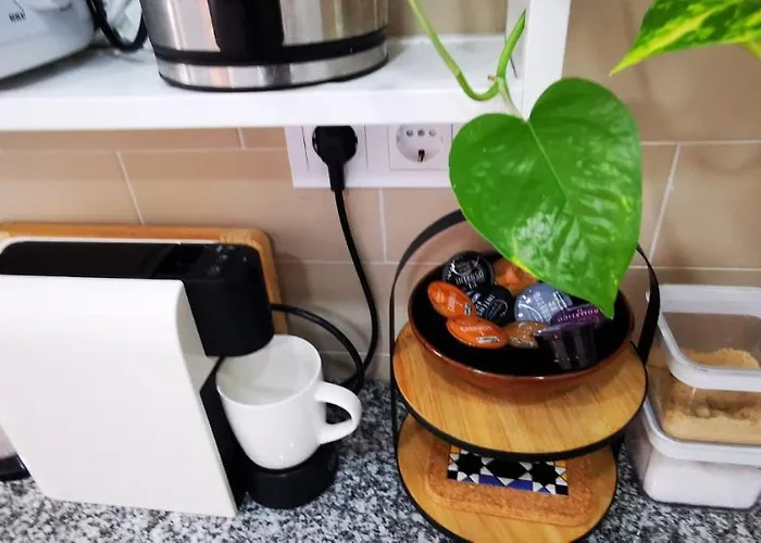 Quarto Duplo Com Kitchenette, Wc E Patio Privativo