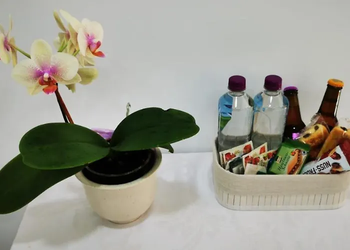 Quarto Duplo Com Kitchenette, Wc E Patio Privativo Corroios